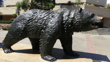 UCLAのシンボル　Bruin Bear