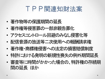 衆議院TPP特別委員会での福井健策の参考人発表資料2 「TPP関連知財法案」